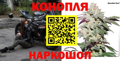 гидра Тулун