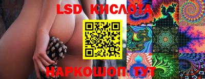 ГАЛЛЮЦИНОГЕННЫЕ ГРИБЫ Тула