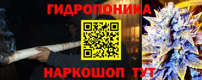 ГАЛЛЮЦИНОГЕННЫЕ ГРИБЫ Тула