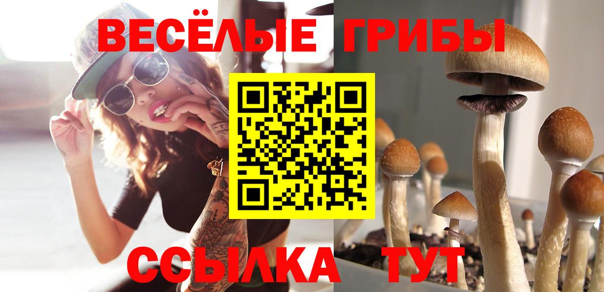 Псилоцибиновые грибы ЛСД  Вход с VPN  Псилоцибиновые грибы прущие грибы  Набережные Челны 